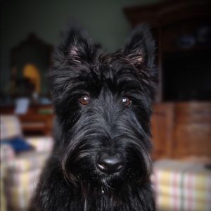 Meet your Posher, Jonathan